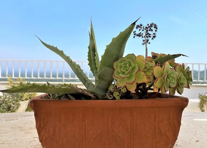 Marcopolo House - Centro Storico * Ostuni