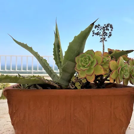 Marcopolo House - Centro Storico * Ostuni